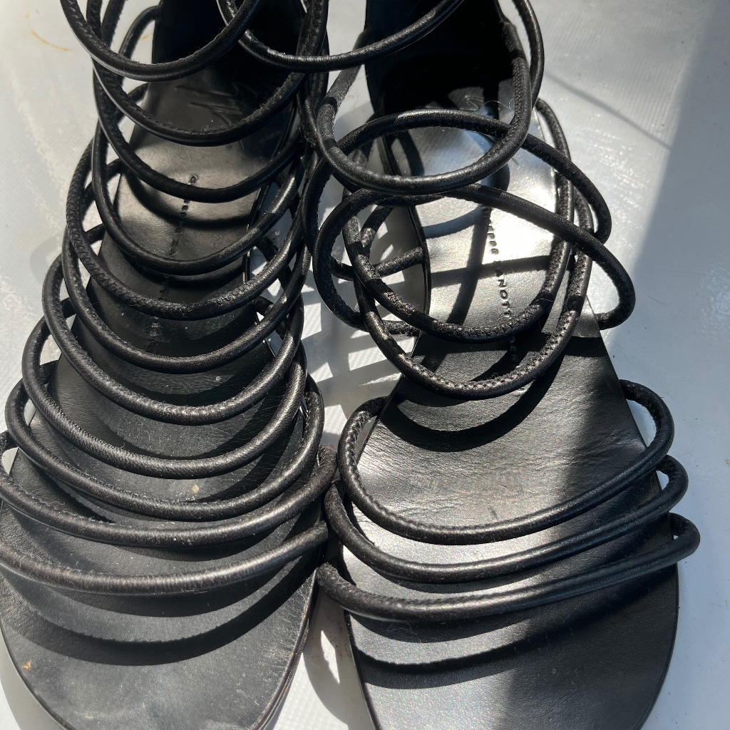 Giuseppe Zanotti